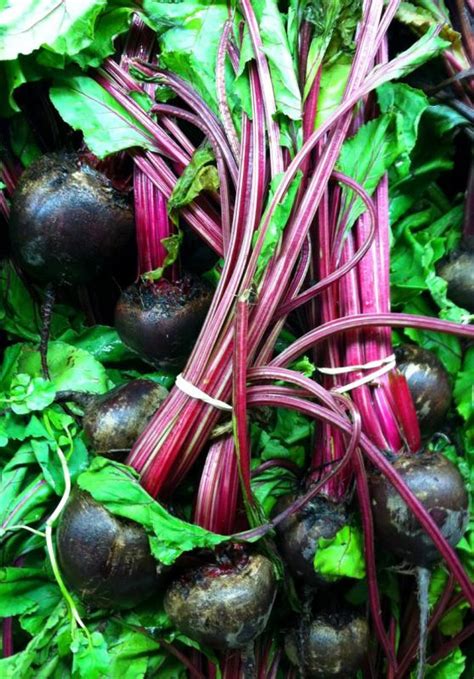Veg Out Featuring Beets The Buzz Magazines