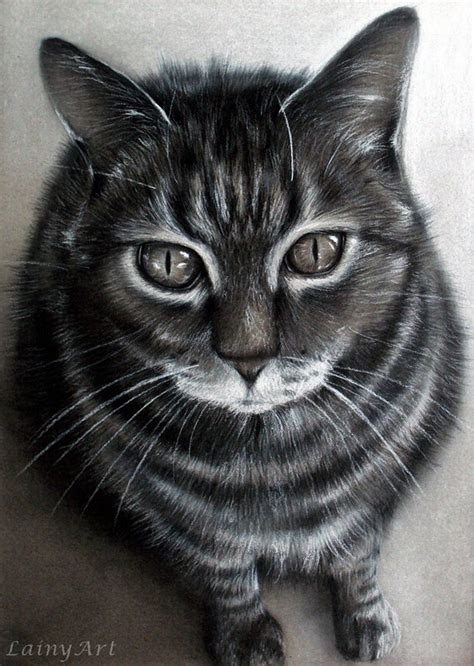See more ideas about drawings, art drawings, art inspiration. CUSTOM Cat Drawing From your photo 8x10 Realistic Hand