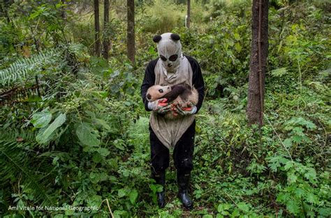 Las Mejores Fotos Del Mundo Centro De La Imagen