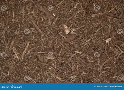 Dark Brown Mulch In A Garden Stock Image Image Of Close Gardening