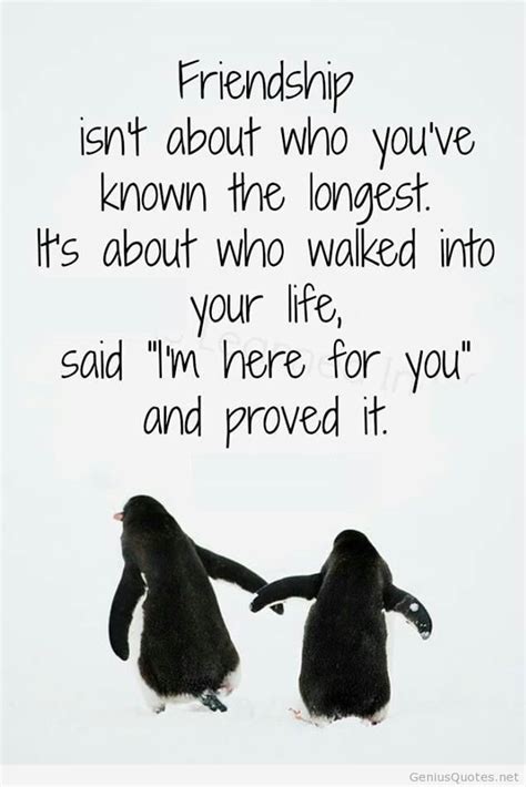 New Friendship Quote