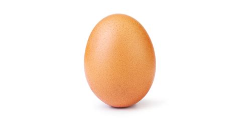 World Record Egg Everpress