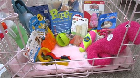 Supplies you need for a puppy! - YouTube