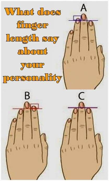 Perhaps You Didnt Know That The Fingers Length Can Reveal Something