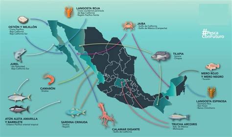 Pesca En MÉxico Mejores Lugares Para Ir A Pescar Espesca