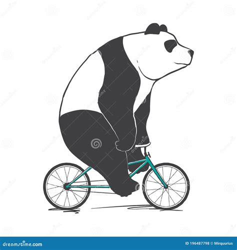 Panda Rides On Bicycle Stock Vector Illustration Of Lifestyle 196487798