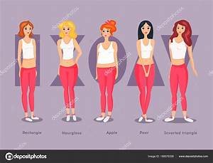 Set Of Female Body Shape Types Stock Vector Image By Mila1717 188576338