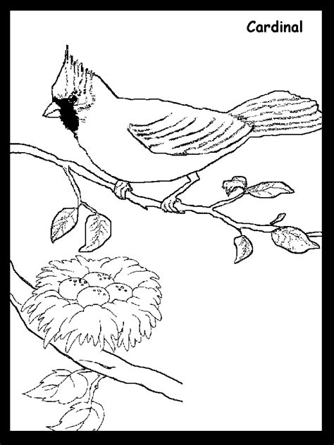 Well you're in luck, because here they come. Cardinal Coloring Pages Printable - Coloring Home