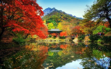 Wallpaper Temple Trees Landscape Forest Fall People Mountains
