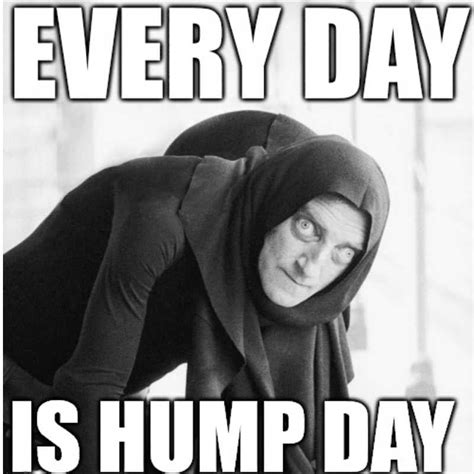 Hump Day Memes To Help You Laugh Thru Wednesday Digital Mom Blog