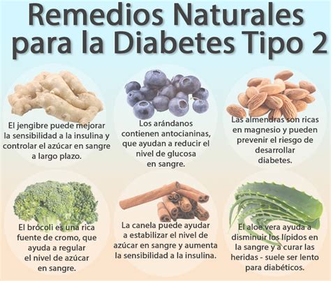 Las plantas que curan la diabetes son: Remedios Naturales para la Diabetes Tipo 2