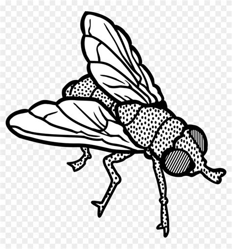 Fly Lineart Fly Clipart Black And White Png Free Transparent Png