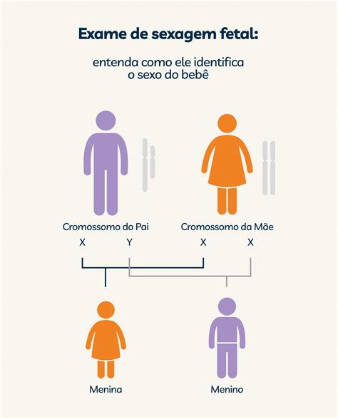 Quem Decide O Sexo Do Bebê