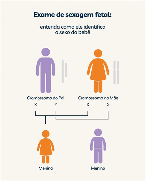 Sexagem Fetal Saiba Tudo Sobre O Exame Que Descobre O Sexo Do Bebê