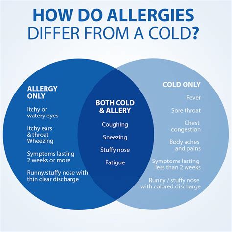 Spring Allergy Season Has Arrived How To Survive It London Drugs Blog