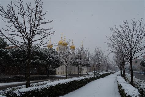 Nieve en madrid | actividades para hacer en la sierra de madrid en familia, con niños y elige entre todas las actividades que te ofrecemos para ir a la nieve en madrid; Nieve en Madrid | José Luis Vega