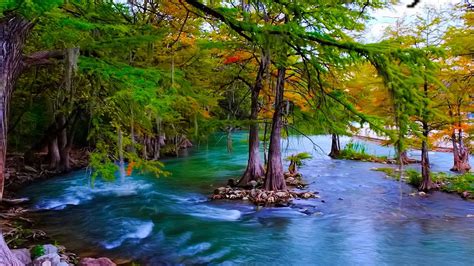 Beautiful Hd Wallpaper Mountain River With Turquoise Green Water Pine Trees Stone Free