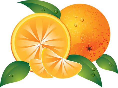 Best Orange Clip Art 16699