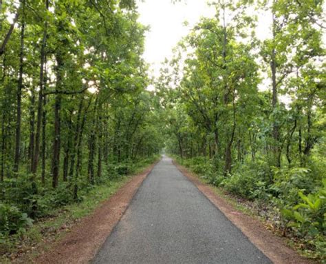 Tehsil of bankura district in west bengal,india. Sunukpahari Park / bankura sunukpahari eco park || nature ...
