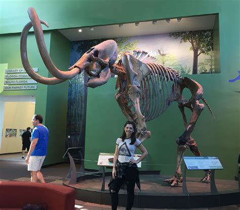 Florida Museum Of Natural History