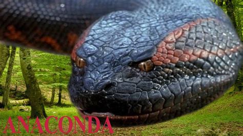 Giant Anaconda Rắn Khổng Lồ Titanoboa Jurassic World Alive Youtube