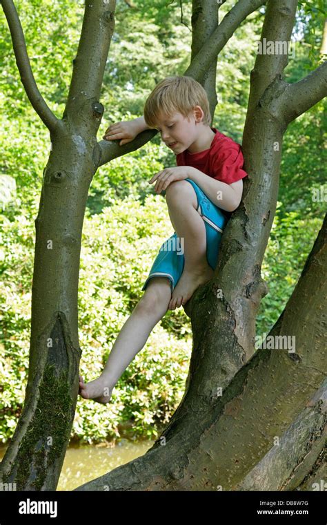 Boy Climbing Tree Barefoot Hi Res Stock Photography And Images Alamy