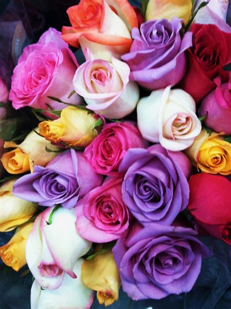 Rainbow Rose Bouquet Photograph By Anna Villarreal Garbis Pixels