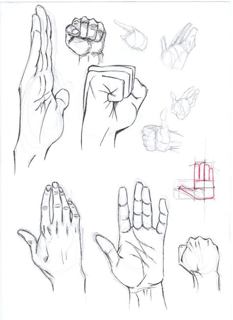 hands anathomy sketch hand sketch guy drawing drawing techniques