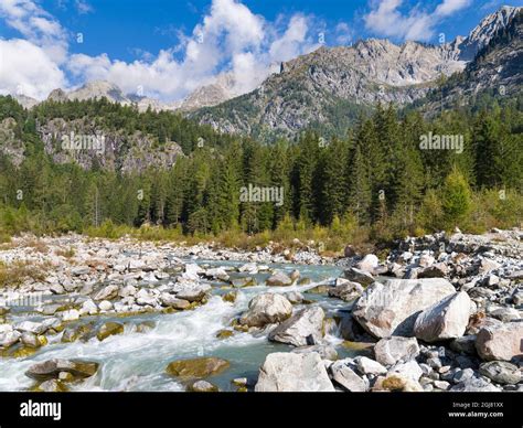 Fluss Sarca Val Di Genova Im Parco Naturale Adamello Brenta Trentino