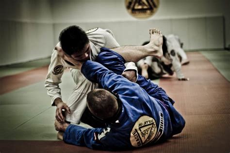 Why Brazilian Jiu Jitsu Is The Best Form Of Martial Arts The Frisky
