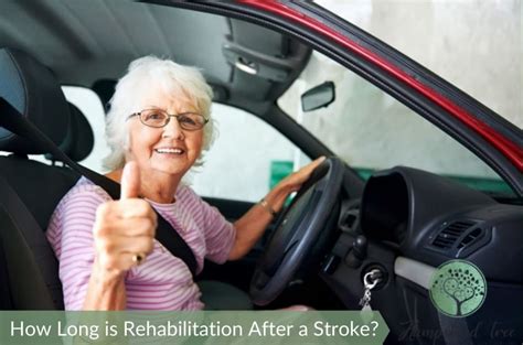How Long Is Rehabilitation After A Stroke Occupational Therapy Blog