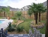 Pool Landscaping With Palm Trees Images