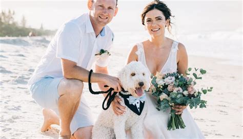 Wedding Accessories For Pets That Are Paws Itively Cute