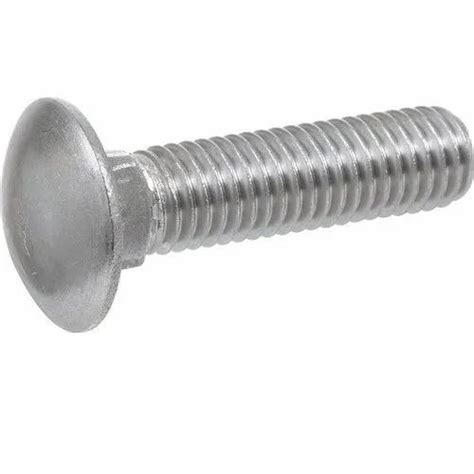 Roundhead Stainless Steel Carriage Bolt For Industrial Size M5 To