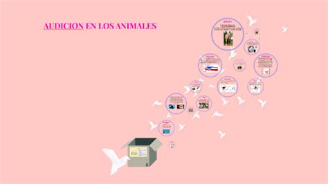 Audicion En Los Animales By Frida Lizet On Prezi