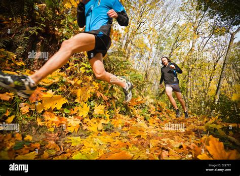Two Men Trail Running Through A Forest In The Fall Colors Stock Photo