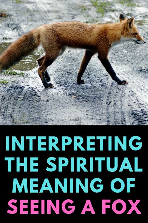 Spiritual Meaning Of Fox Crossing Your Path Dream Interpretation