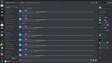 Create A Professional Discord Server Depending On Your