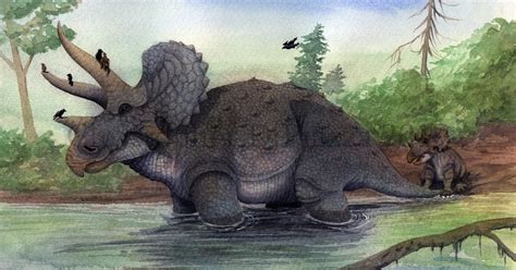 Prehistoric Beast Of The Week Triceratops Beast Of The Week