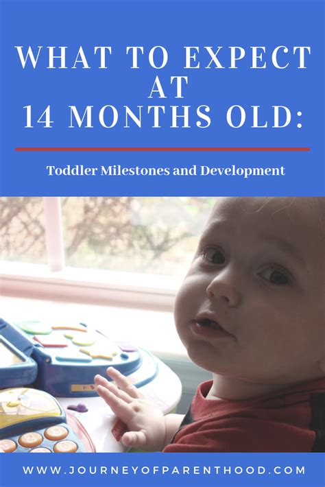 Toddler Milestones And Development What To Expect At 14 Months Old