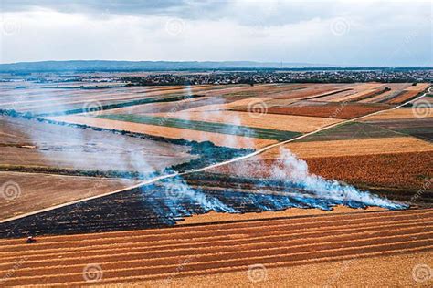 Wheat Field Stubble Burning After The Harvesting Of Grains Is One Of