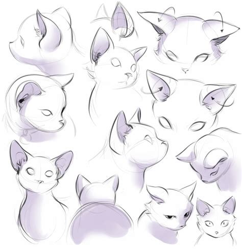 Guide To Drawing Ears In 2022 Cats Art Drawing Cat Drawing Tutorial