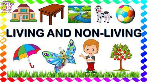 living things and nonliving things living and non liv