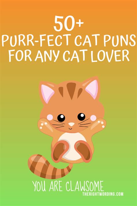 50 Hiss Terically Purr Fect Cat Puns For Any Cat Lover