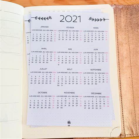 In fact, here i share with you the ultimate guide on bujo themes and bullet journal. Sticker pleine page Calendrier annuel pour Bullet Journal ...