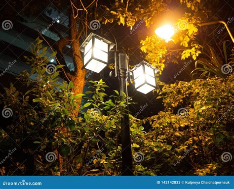 Lamp Light Street Tree Twilight Stock Image Image Of Tree Light