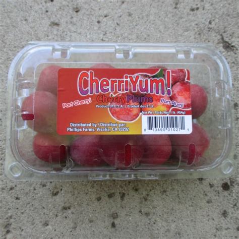 Maybe you would like to learn more about one of these? What are CherriYums (Cherry Plums)? - Eat Like No One Else