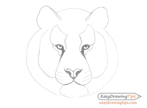 How To Draw A Easy Tiger Face