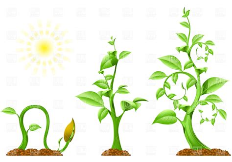 Animated Growing Plant Clipart 10 Free Cliparts Download Images On