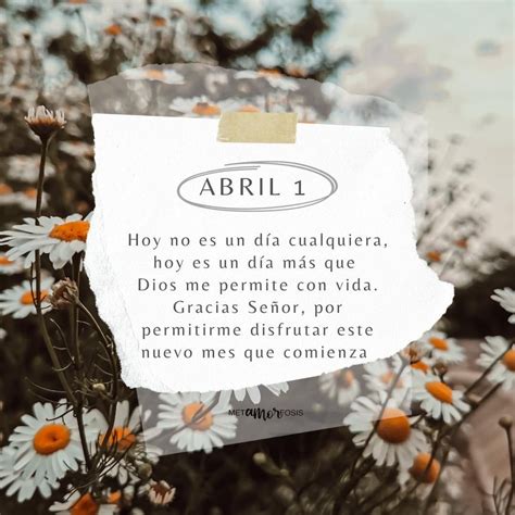 Pin De Adriana Reyes En Abril Consejos Para Ser Feliz Frases Felices Positivas Frases De